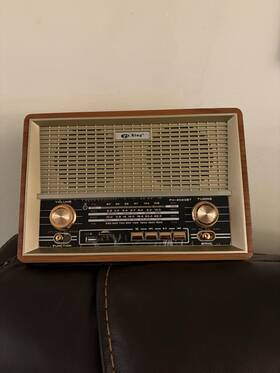 Px-2020bt Pd Xing Vintage Radio Fm Am Shortwave Sw1 Sw2 Usb Model Px-2020bt Pd Xing Vintage Radio Fm Am Shortwave Sw1 Sw2 Usb Model