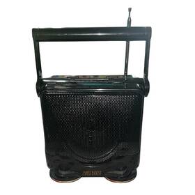 Sound Dimension A225 Gran Prix Model A225. Great Weather Radio
