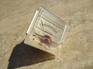 Montgomery Ward Airline Gen 6901A Receiver Used Parts Va Meter. Fixed Price $10.96.