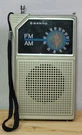 Vintage Sanyo Am/ Fm Handheld Portable Radio Model RP5047A Works 9 Volt Battery. Fixed Price $19.99.