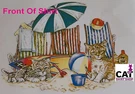Cats Beach Shirt, Kitten Playing Sand, Umbrella, Fun Sun, Sm - 5X. Fixed Price $18.99.