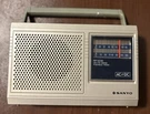 Original Retro Vintage Sanyo Rp 5230 Am Fm Portable Radio Ac/dc Works!. Fixed Price $28.99.