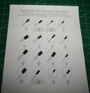 Realistic DX-100 Electrolytic Re-cap Kit 16 Capacitors Premium. Fixed Price $7.49.