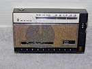 Petite Model NTR-800 Am Sw Transistor Radio Great Condition Works Pefect. Fixed Price $95.00.