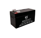 Raion Power 12V 1.3AH Replacement Sla Battery For Panasonic LC-R121R3PU. Fixed Price $14.99.