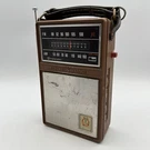 General Electric Transistor Radio Am Fm 12 Band P-1844B Working. Fixed Price $23.96.