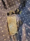 Harley Davidson Miscellaneous Parts Potentially From 1978 Sportster. Fixed Price $40.50.