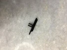 Replacement Parts: Ge Boombox 3-5623A Slider Knob. Fixed Price $16.09.