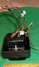 Motorola 65T21 Power Transformer (ch. HS-32) 25B28202-D (5V, 6.3V, 280-0-238V). Fixed Price $49.99.